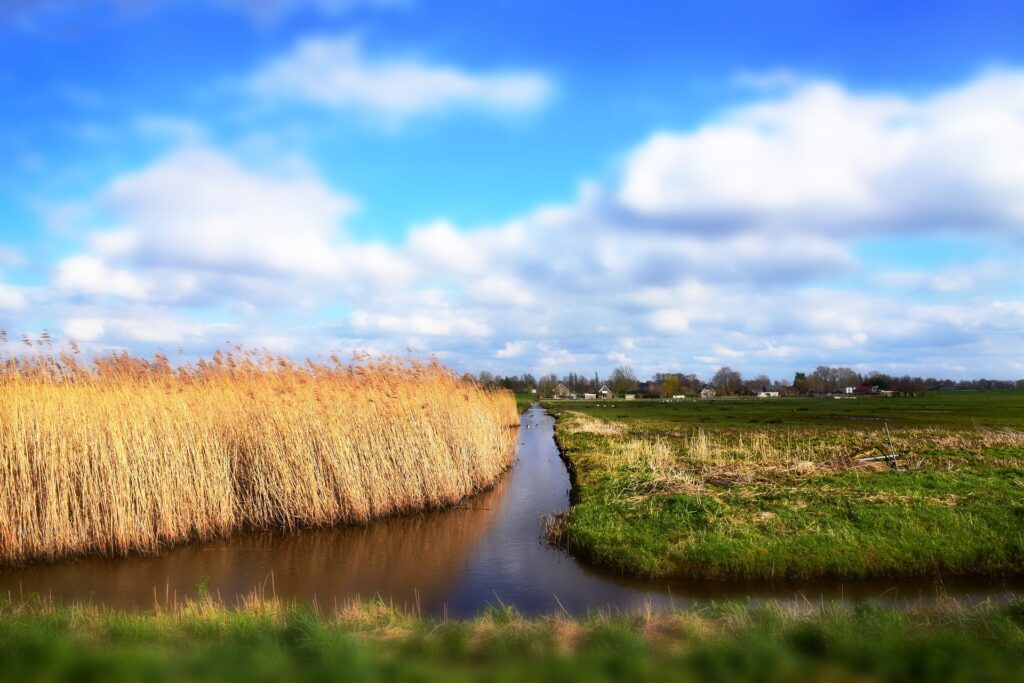 Noord-Hollands landschap