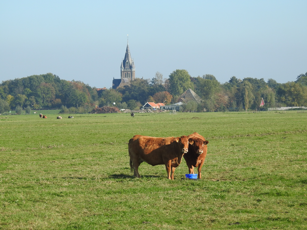 De Ronde Hoep in het Amstelland