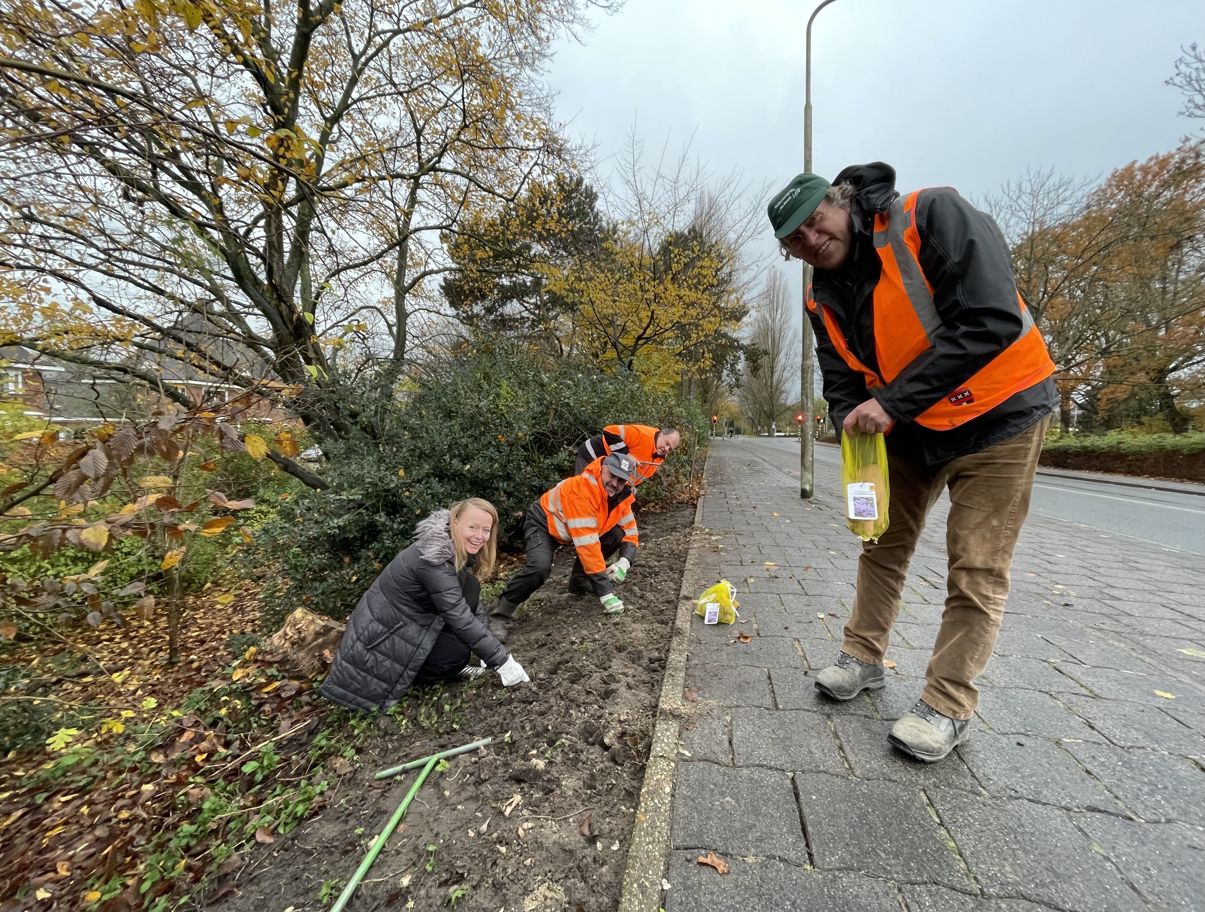 foto 2 bollen planten Laan Walcheren.jpg